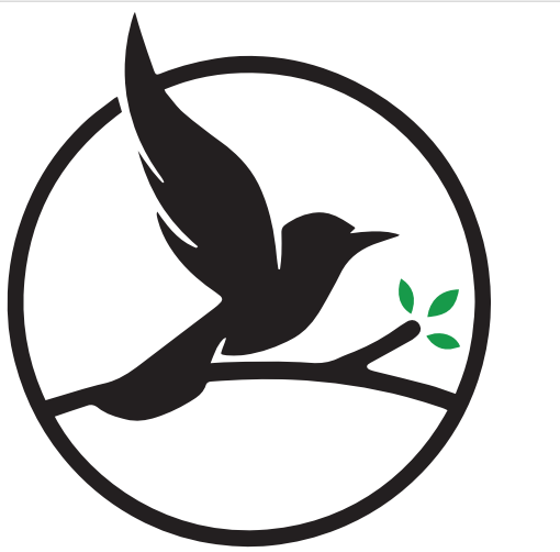 Academic Operations Manager