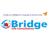 Bridge Life Consultancy