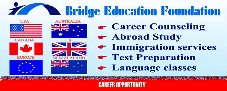 Bridge_Education-Banner_(1).png