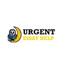 UK Essay Writing Company