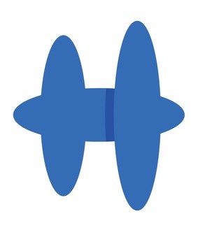 High Gaze Optics