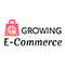 A Growing E-commerce